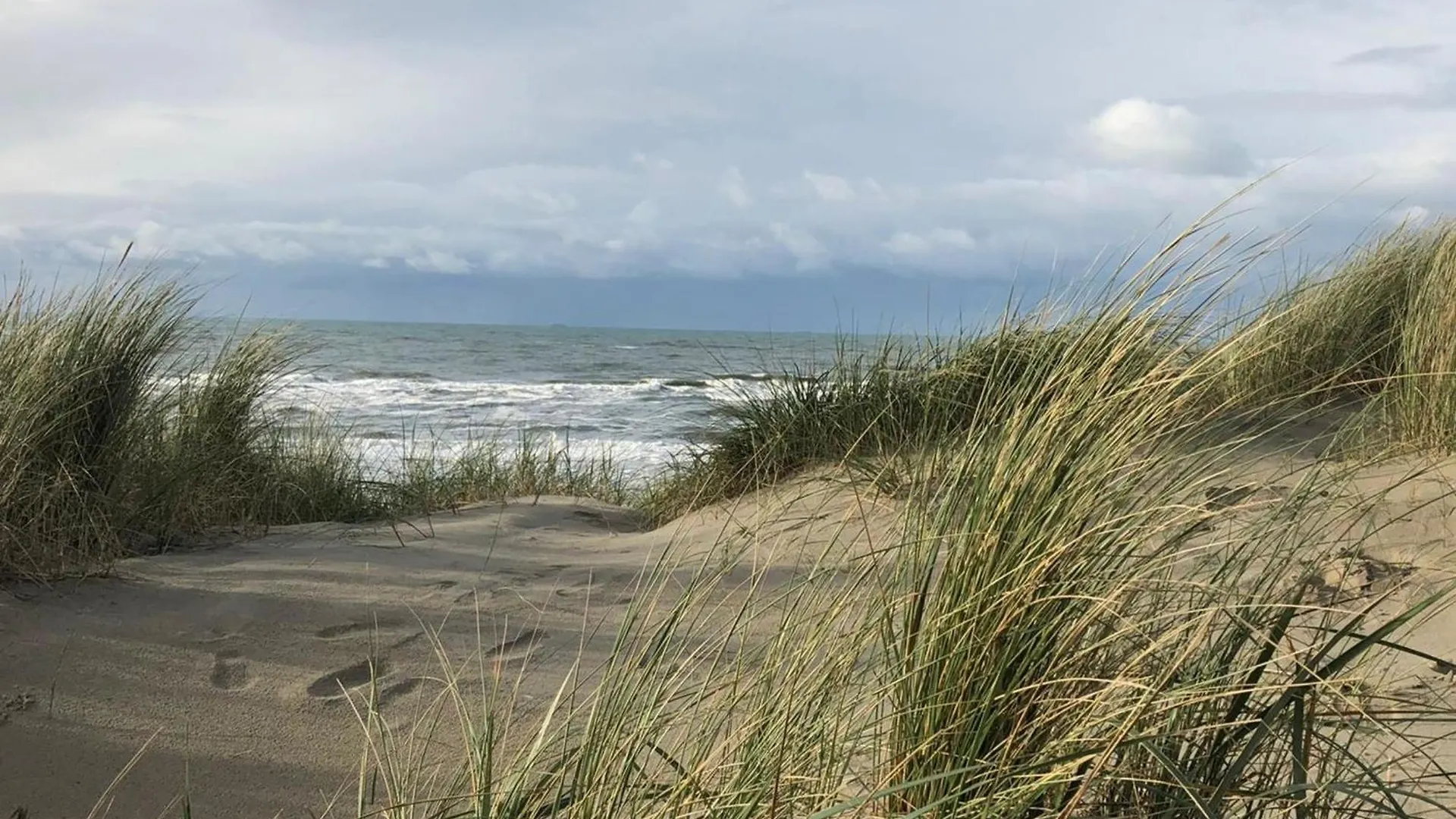 Anne'S Family Home With Private Parking Zandvoort 0*,  Paesi Bassi